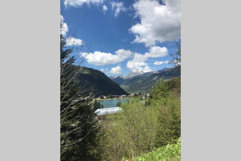 Studio Les Freinets Châtel Exteriör bild